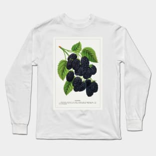 Snyder Blackberry Lithograph (1900) Long Sleeve T-Shirt